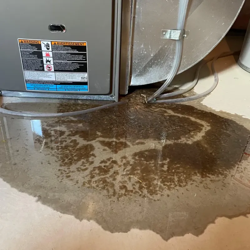 Appliance Leak Cleanup in Adams County, WA